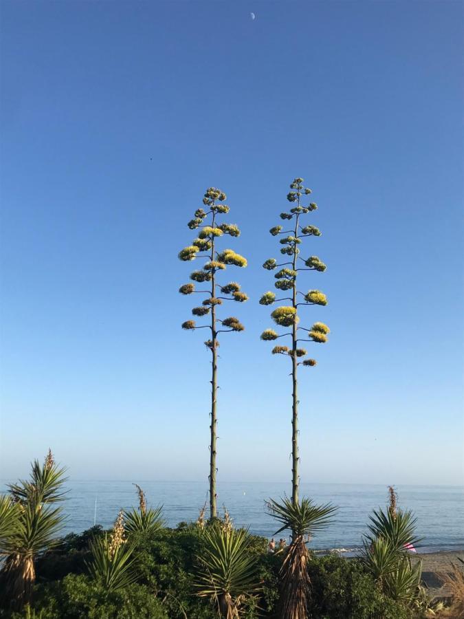 Marbella - Estepona beach frontline apartment Exterior foto